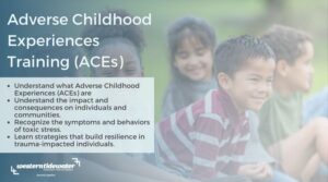 Adverse Childhood Experiences (ACEs) Interface Training @ Online via Zoom | Smithfield | Virginia | United States