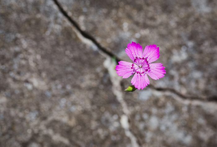 How to Build Resilience to Stress: Practical Strategies for Daily Life