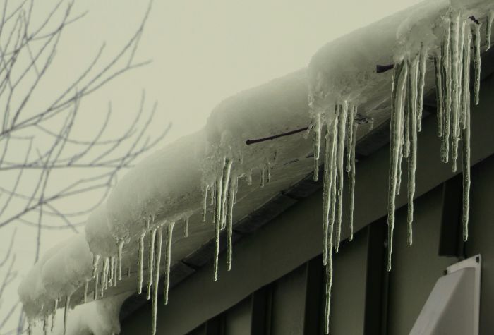 Winter Loneliness Is Not “Just a Feeling.” Here Is How to Respond